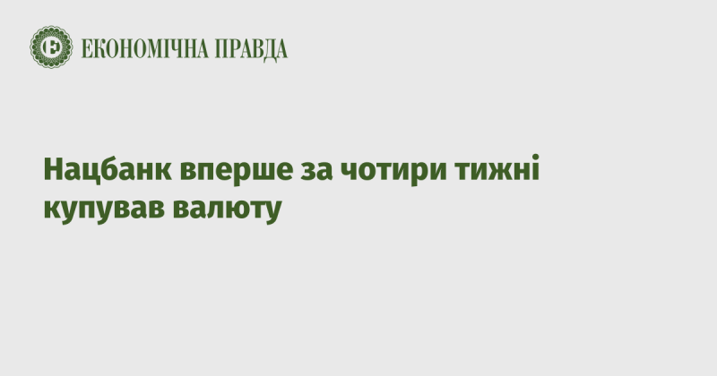 Національний банк вперше за місяць придбав іноземну валюту.