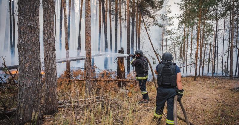 У природному парку 