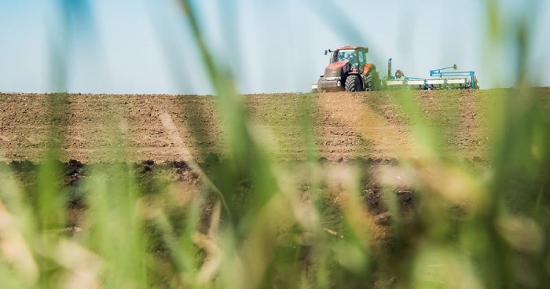 Аграрії розпочали посів озимих культур, однак посуха може негативно вплинути на врожайність  --  Delo.ua