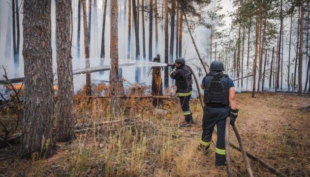 Пожежу, що палала в національному парку 