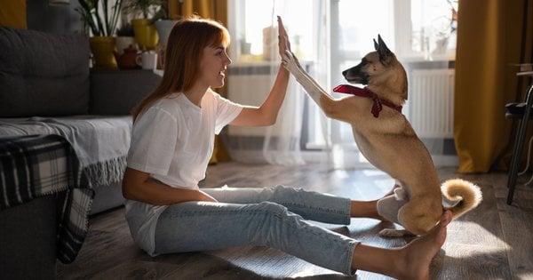 Як зайняти свого чотирилапого друга вдома: п’ять найкращих ігор, які принесуть задоволення і вам, і вашій собаці.