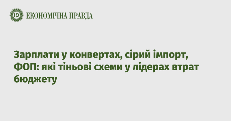 Заробітна плата в конвертах, сірий імпорт, фізичні особи-підприємці: які неформальні механізми призводять до значних бюджетних втрат у провідних галузях.