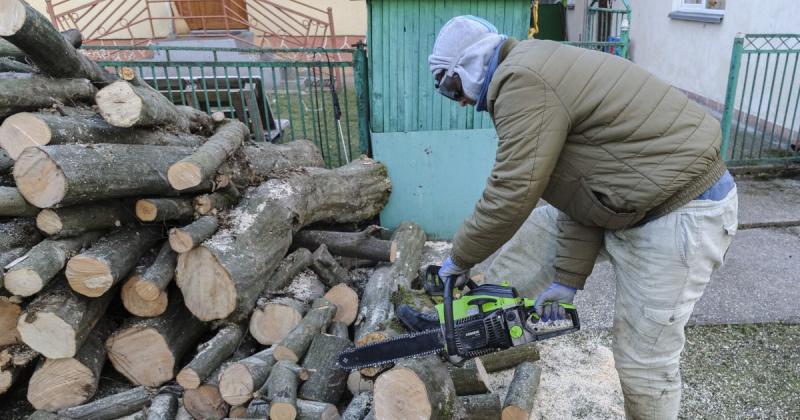 Законодавство щодо дров: хто підлягає покаранню та як оформити необхідні документи для їх отримання.